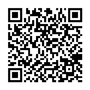 你本来就是因为你姐姐在穿破时空屏障的时候留下来的一缕执念二维码生成