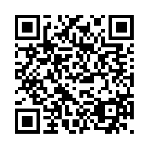 你父亲和那些霍家镖局的人都在里面二维码生成
