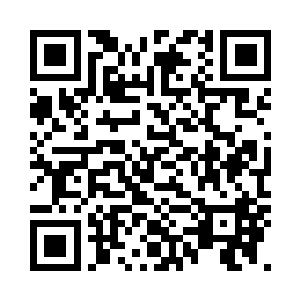 你现在可是一个锻骨期高阶的高手了二维码生成