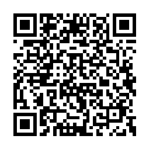 你现在能说说我们以前执行各种任务的时候了吧二维码生成