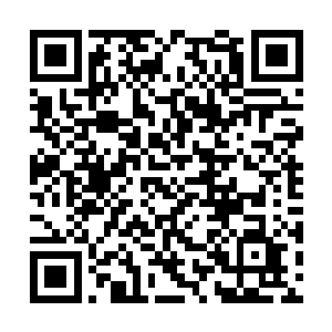 你现在首要的任务是将你的那些师兄弟给培养出来二维码生成