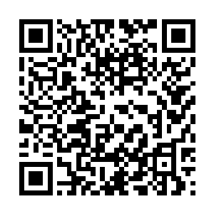 你直接告诉我这是我娘亲交代莫大叔这么做的不就行了吗二维码生成