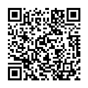 你相信就你表姨的人品会喜欢上洪城这种小地方不愿挪动吗二维码生成