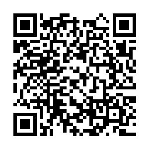 你看到收留我们的老爷爷的母亲老迈不堪一身是病二维码生成