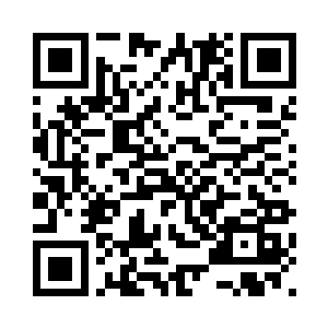 你看给我的这个吊坠实在太漂亮了二维码生成