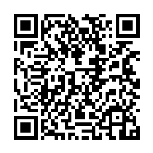 你真的确定这两个家伙不是单纯的过来寻找东西的二维码生成