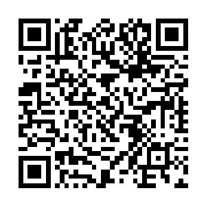 你确定要在这样一个喜庆的日子上档这样一部悲情片二维码生成