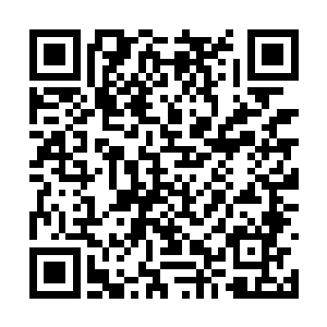 你能不能感应到周围有黑sen林出来的恶兽或者神兽二维码生成
