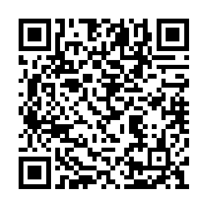 你若能说出这幅画是出自晚明哪一位大画家之手二维码生成