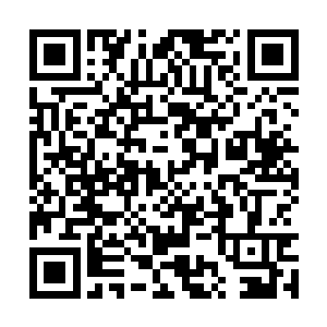 你董大将军不是在怀阳关跟北凉都护褚禄山死磕吗二维码生成