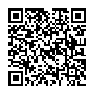 你说张总督还有赵大人他们心里会如何评价各营主帅呢二维码生成