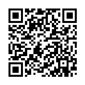 你跟着父亲大哥大嫂回去看一看吧二维码生成