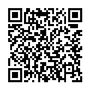 你还不是拿公司赔给你的两万块给我买个摩托车二维码生成