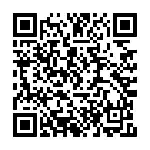 你这个仙之力储备只有999点的毛头小子那点手段二维码生成