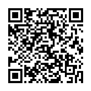 你这是比较想让影子把你这个没用的老东西扔到海里去二维码生成