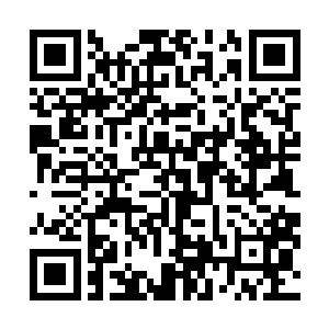 你这看的几块赌石只要有过几年赌石经验的都不会选择的二维码生成