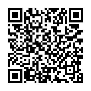 你这里的烟尘污染已经影响到了全县的卫生城市创建工作二维码生成