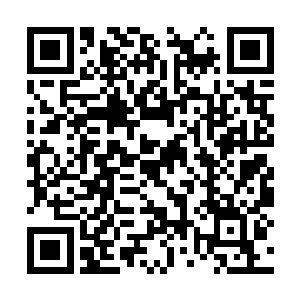 你都这么爱护我总不能就为了一口吃的伤了你的手二维码生成