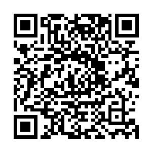 你问我如何管理那些外来者才是最好……若他们是玩家的话二维码生成