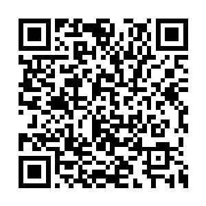 你难道不知道洞虚阴体和洞虚阳体注定会在一起二维码生成