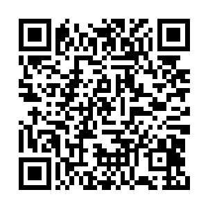 你难道就没有奇怪土城那么多王子和公主都来了二维码生成