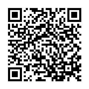 佩佩把两条粉嫩如莲藕的脚丫放到它肉眼可见的脑电波氤氲中二维码生成