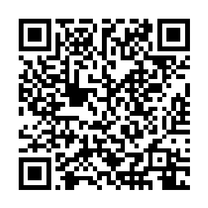 佳佳和丽丽2姐妹对着进来的8少女客气的招呼了声二维码生成