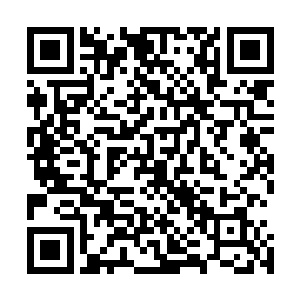 使你们许家及时得到了沧浪城和南林城结盟对付许家的消息二维码生成