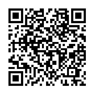 使得王霸天等人立刻都变得像是狗一样的开始呲牙咧嘴二维码生成