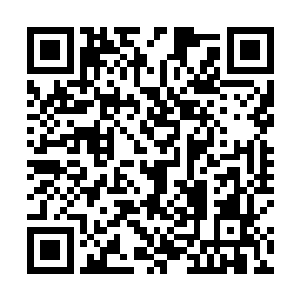 侍女就把木萦的那个乌牌往圆台上方凹下来的那里一放二维码生成