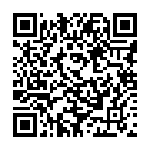 依偎在他身旁的秦薇薇明显察觉到了苗毅的脸色不对二维码生成