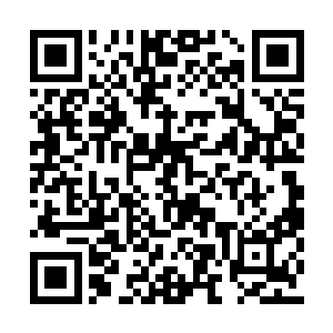 侯九的脸色也在贾三说完这话之后变的难看起来二维码生成