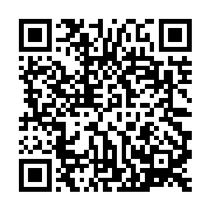 侯卫东将被动工作时间尽量集中在早上上班以后的一个小时以内二维码生成
