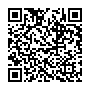 便几乎像是条件反射一般的变得凝重而拘谨了起来二维码生成