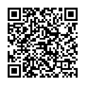 便只得一脸无奈地给他们表演了一番在他们的眼里看来二维码生成