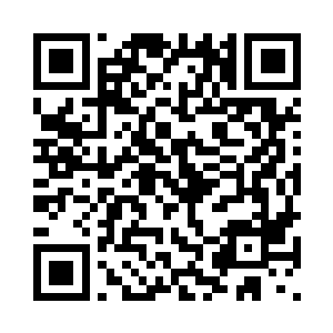 便如那犹抱琵琶半遮面的绝世美人二维码生成