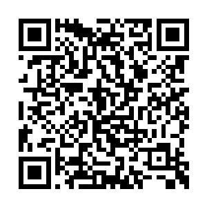 便将他刚刚从古墓当中得到的黑色石头拿了出来二维码生成