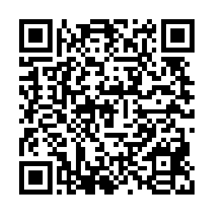 便带着青兰圣果和枯木角蟒的独角以及三本典籍二维码生成