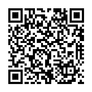 便是一队宫女持着宫扇簇拥着九五之尊嘉靖帝走了进来二维码生成