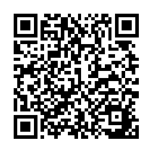 便是陆婉儿十月怀胎生下来的孩子又如何养在陆锦阳的身边二维码生成