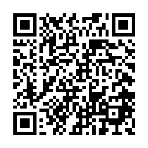 便直接转身领着自己的女儿白冰冰回烧烤店去了二维码生成