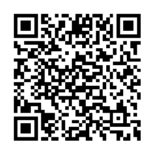 便知纪氏自始至终没打过让安姑姑留下来的主意二维码生成