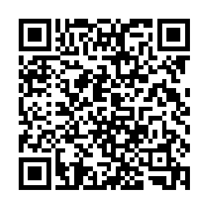 便突然明白了华夏九此时将要带大家玉石俱焚的想法二维码生成