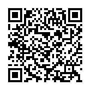 便能见到打理维护桃林的宫装仙娥穿梭来往其中二维码生成