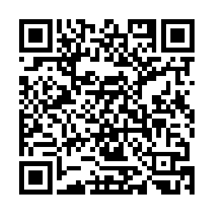 便见伴随着一道道黑光的闪耀以及一股股浓郁黑雾的激荡二维码生成