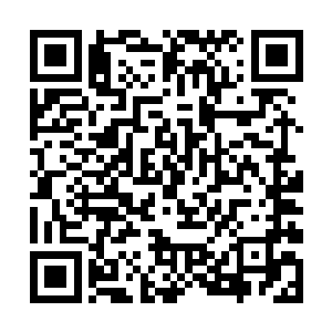 便见有人伸手拖着一个五十多岁的老者从里面走出来二维码生成