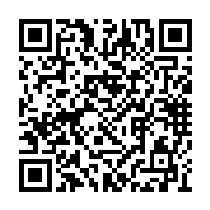 修仙界的严伟带着两个修士跑到了世俗界的许家二维码生成