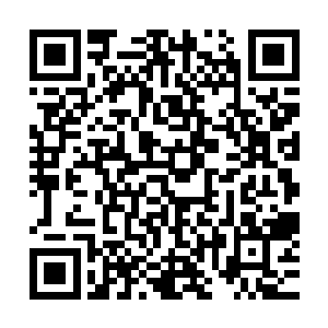 修剪得圆润光洁的指甲在谢元茂青色的裤管上泛出莹莹的光来二维码生成