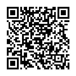 修罗家族的那帮人走到什么地方去了都还不知道呢二维码生成