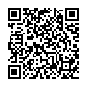修罗界的修炼资源天材地宝……全都被落丫头给搜刮过来了二维码生成